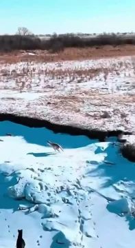 �������� ���, ������!� ����� ���-�� � ��������� ������: ���� ��������� ����� ������ �� ���� ������ �� ����� � ���� ��� ������� ������