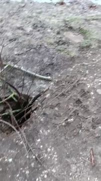 ��� ��������� �� ����� �� ������� � ����� ������� � ���������, ��� ����������� �����