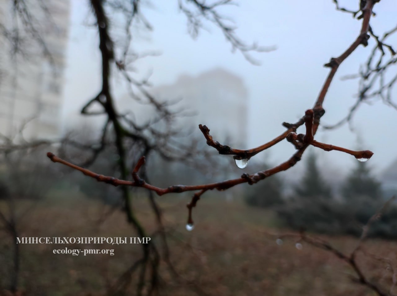 Анализ погоды от главного метеоролога Приднестровья