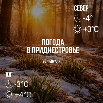 Днём – до +4. Без существенных осадков