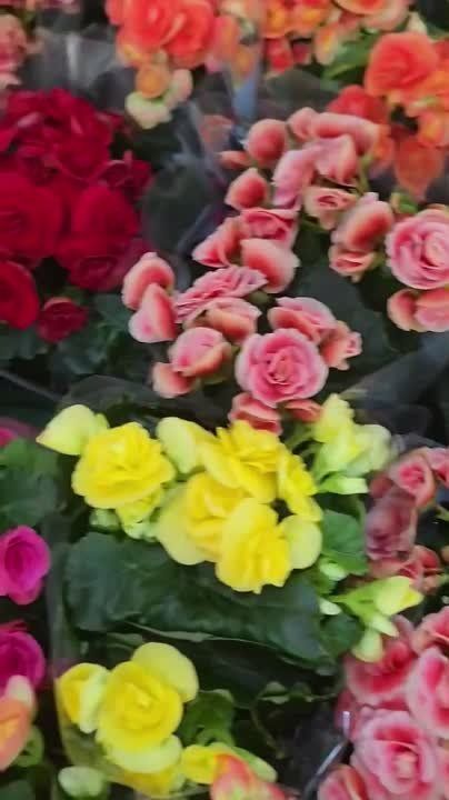 � ������������ ������� ����� ������ � 8 �����