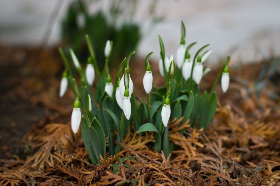 27 ������� ��������� �������� ������ � ������������, ��� �������