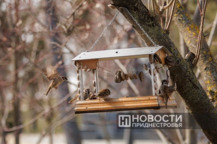 Погода на следующей неделе — тёплая и без осадков