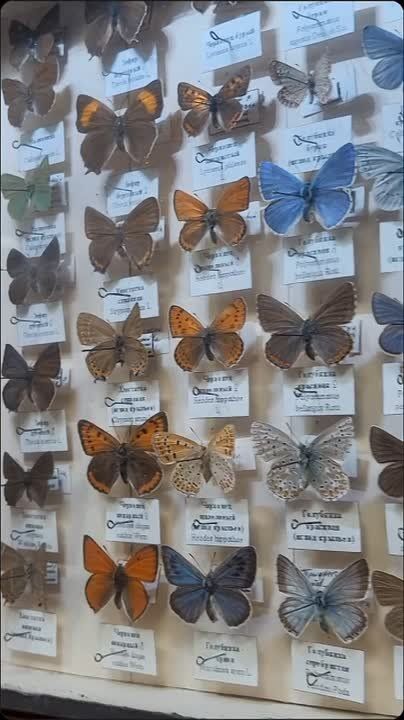 ������������ 7-�� ����� �������������� ������������ �������� ������� �������� � ���������� ������������� � �������-���������������� ����� ��� ��.�.�.��������