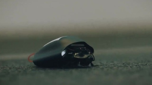 В Германии показали новое оружие - биоэлектронных жуков: