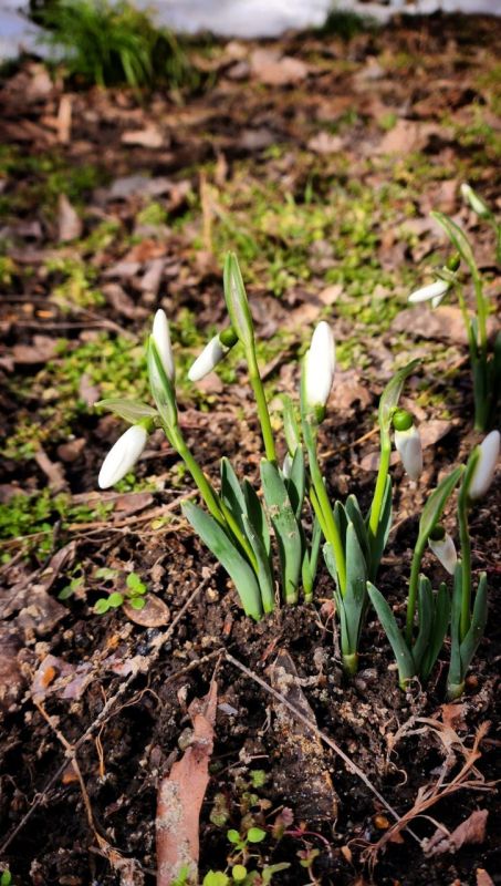 ����������� �� ��������-������ ����� ��������, ��� ����� ��� �����������