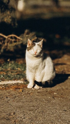 ������ ������ ����� � ��� ������� � � ������ �� �����