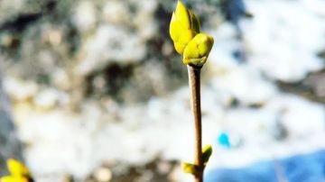 � ������ ������ ����� � ������������� ��������� ����� � ����� ������