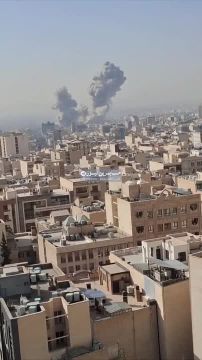 ������� ����� ������������ ���� �� �����