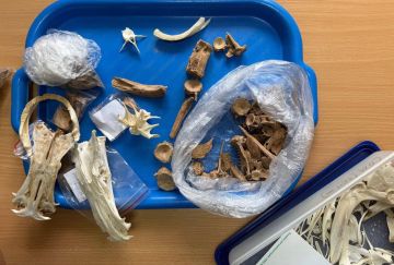 ������ ��������, ��� ��� ����� 2500 ��� �����