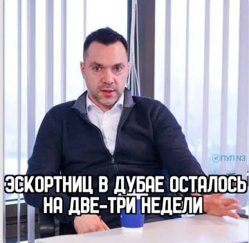 Слово эксперта