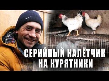 Популярность через криминальную хронику