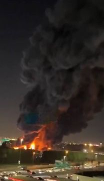 ���� 5-�� ����� ��� � �������� ����� � �����