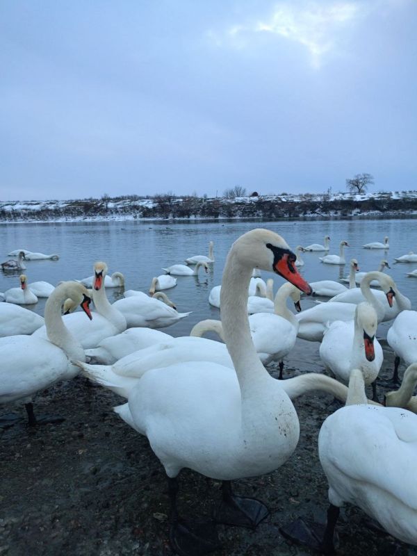 ���������� ������� ���� � ����� � ��������