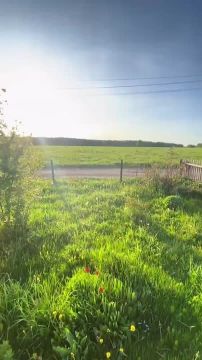 С первым днём весны!