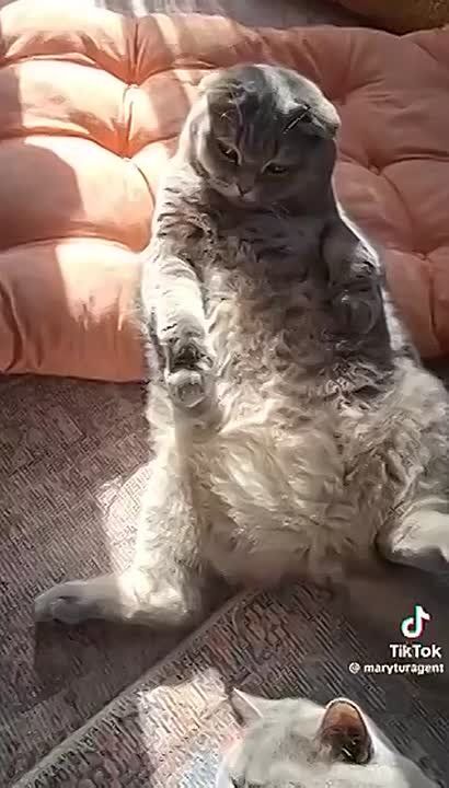 �������� �������� ������, ��� ��������� ������ ����� ��� ������