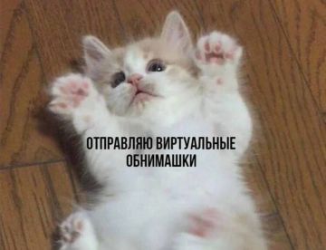 Снижение уровня кортизола после общения с кошкой сохраняется до часа