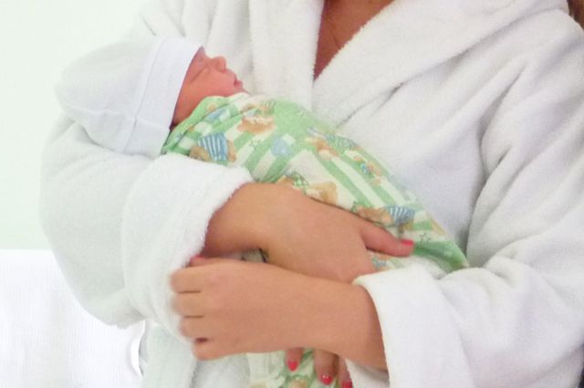 �������� ���������� ������� ����������: �� �������� ������ � ������� �������� 13 �������: 7 ��������� � 6 �������