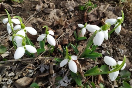 ������� ������ �� �������, 2 �����