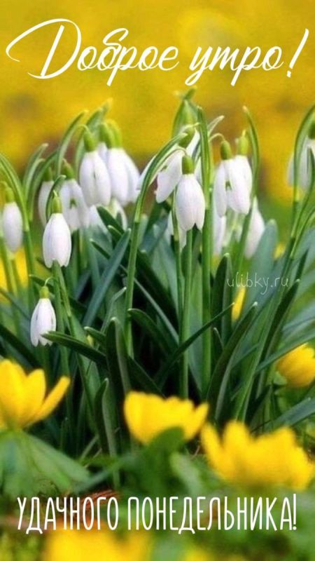 2 ����� � ���� ����������. ������������� ���� ������