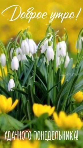 2 марта – день контрастов. Международный день спички