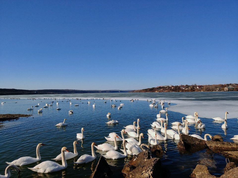 � ������� ���� ����� �� ������������ �������������