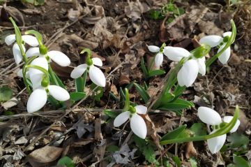 Прогноз погоды на сегодня, 2 марта