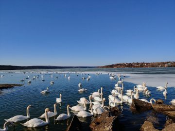 � ������� ���� ����� �� ������������ �������������