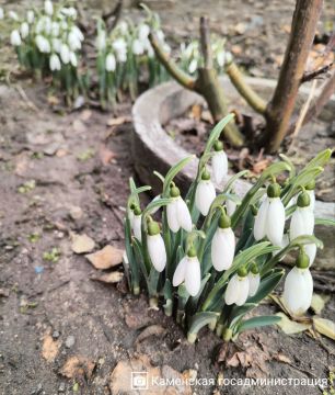 Весны прекрасные мгновения