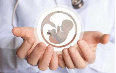 ���� �������� ������ � ��������������� �����-���������������� ����������