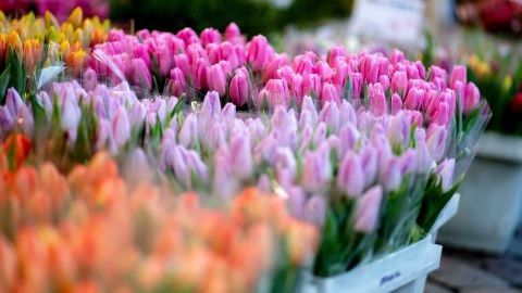 ����� ��������� ���� � �� +13 �C ������������ �������� ����� �� 8 �����