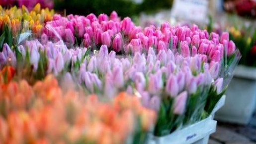 Ясный солнечный день и до +13 °C прогнозируют погодные сайты на 8 Марта