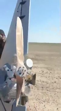 Иракцы осматривают упавший американский дрон-камикадзе LUCAS оснащённый Старлинком