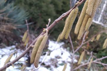 Прогноз погоды на сегодня, 3 марта