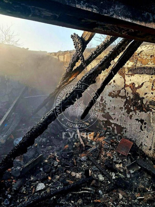 ����� � ������������. ������� ����� �� ����� 5 ������� ��������� ����� � ������ �������� ������� ��� � ������� ��������