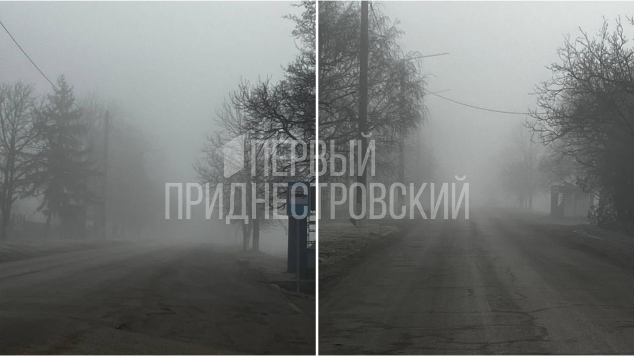 В Каменском районе сильный туман