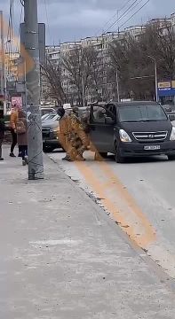 ������������ ��� �������� ������������� ������ �� ���������� ����������� ����� ���