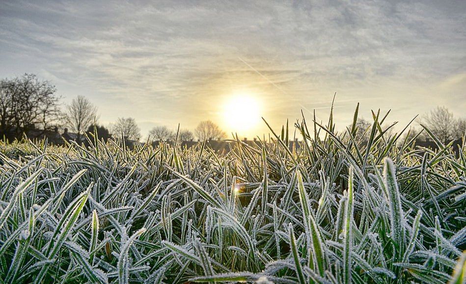 ������� ������ �� �������, 4 �����