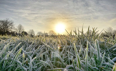 ������� ������ �� �������, 4 �����