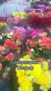 ������������� ������� ������ �� ����� � ������������ � ��� � 8 ����� ������������ ����� ���������