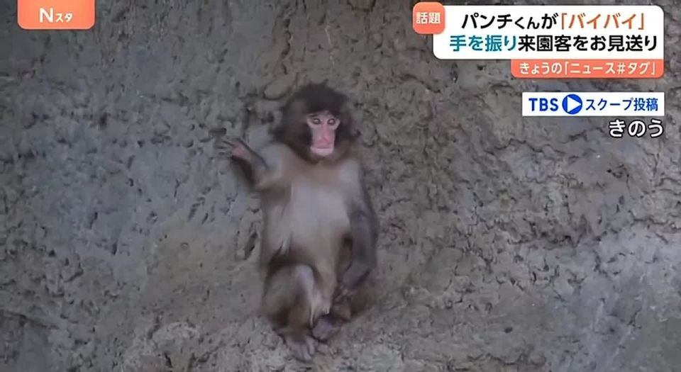 ��������� ��������� ���� �������� �������������� ����� �������