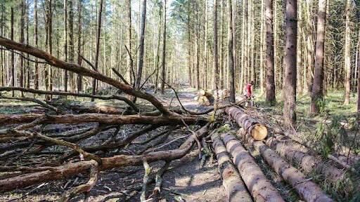 ���� ��������� ����������� ������������� �������� � ����� �������������� ��� ��������� �������������, ����������������� � ������������� ������ ���������� ������� ��� ����� ��������� � ����������, ����� �� ���������� �����...