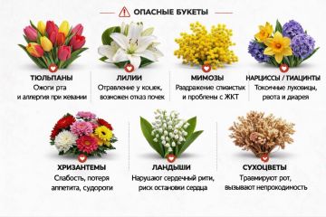 ����� ����� ����� ���� ����� � ������������� ���������� ����� 8 �����