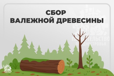 �� ��������� ����� ����������� ��������� ����������� ����������� �������� ��������