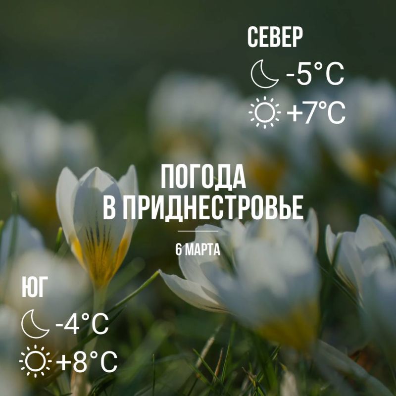 ���� � �� +8��, ��� �������