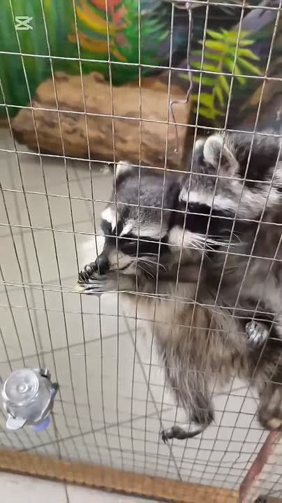 ����� � ������������ ����� ������ ������