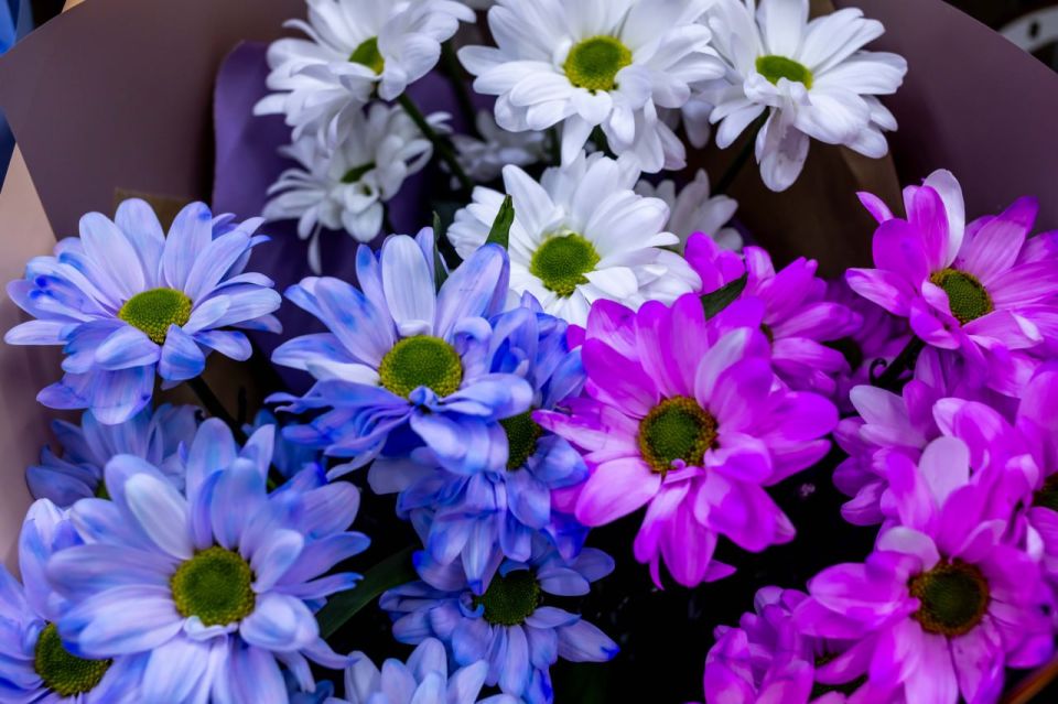 ����� 8 ����� ������ ������ � ���������� ����� �� 85%