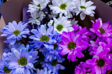 ����� 8 ����� ������ ������ � ���������� ����� �� 85%