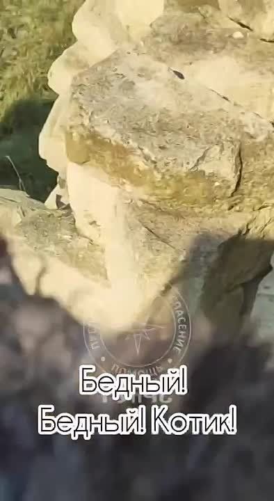 ��������� ��������� �������� ���� ��-��� �������