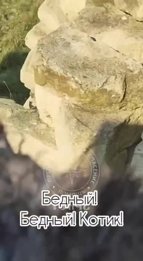 ��������� ��������� �������� ���� ��-��� �������